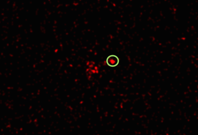 X-ray image showing the detection of SN 2012ca.