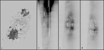 \begin{figure}
\plotone{figures/cones.rot.eps}\end{figure}
